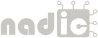 logo nadic